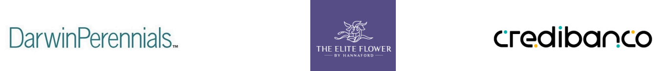 imagen 2025 11 12 222817140